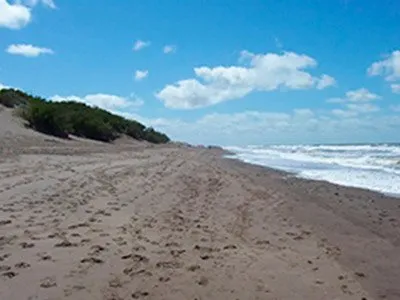 Playas Pehuen Co